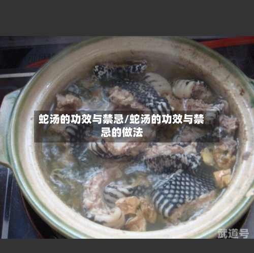 蛇汤的功效与禁忌/蛇汤的功效与禁忌的做法