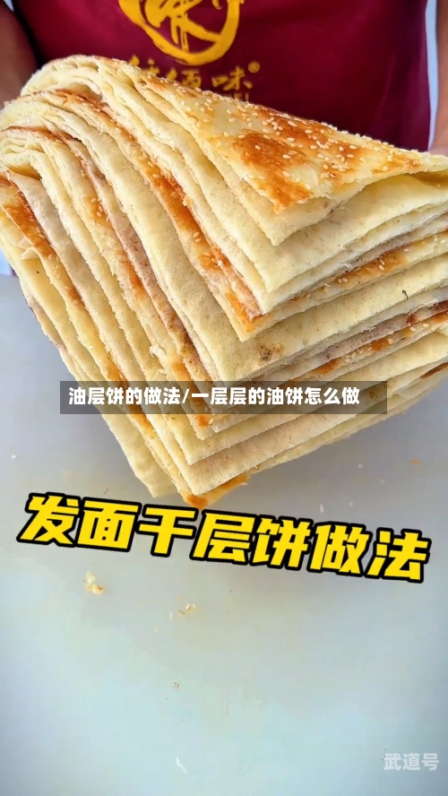 油层饼的做法/一层层的油饼怎么做