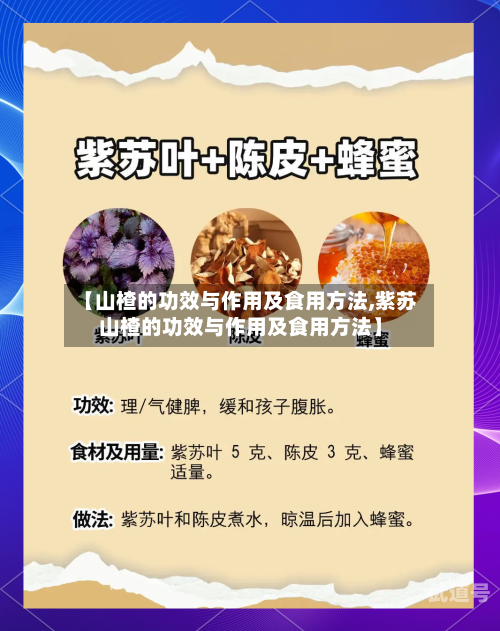 【山楂的功效与作用及食用方法,紫苏山楂的功效与作用及食用方法】