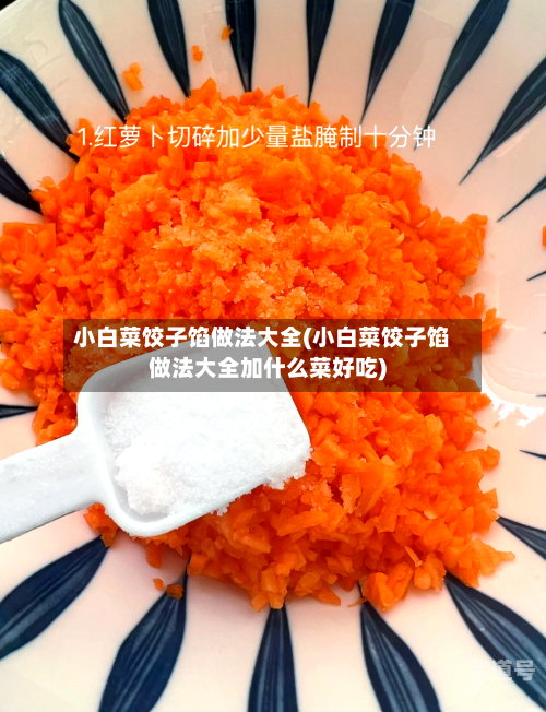 小白菜饺子馅做法大全(小白菜饺子馅做法大全加什么菜好吃)