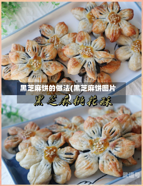 黑芝麻饼的做法(黑芝麻饼图片)