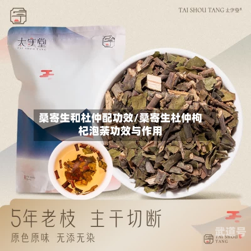 桑寄生和杜仲配功效/桑寄生杜仲枸杞泡荼功效与作用