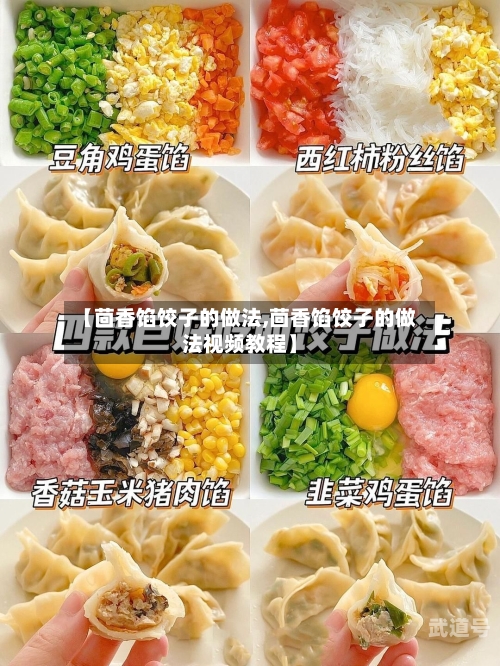 【茴香馅饺子的做法,茴香馅饺子的做法视频教程】