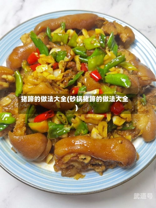 猪蹄的做法大全(砂锅猪蹄的做法大全)
