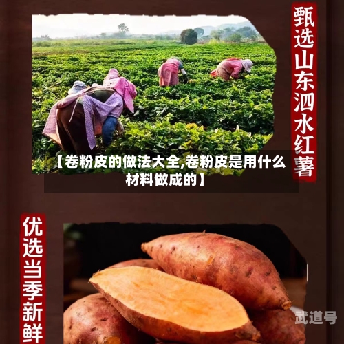 【卷粉皮的做法大全,卷粉皮是用什么材料做成的】