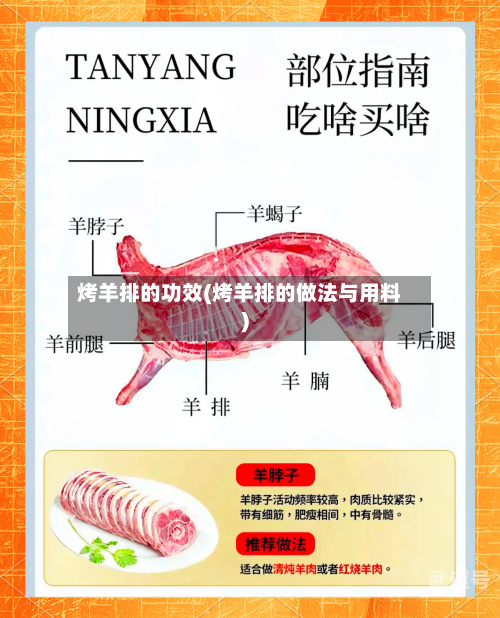 烤羊排的功效(烤羊排的做法与用料)