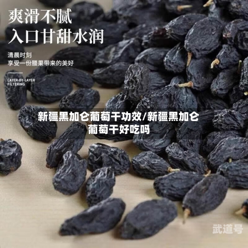 新疆黑加仑葡萄干功效/新疆黑加仑葡萄干好吃吗