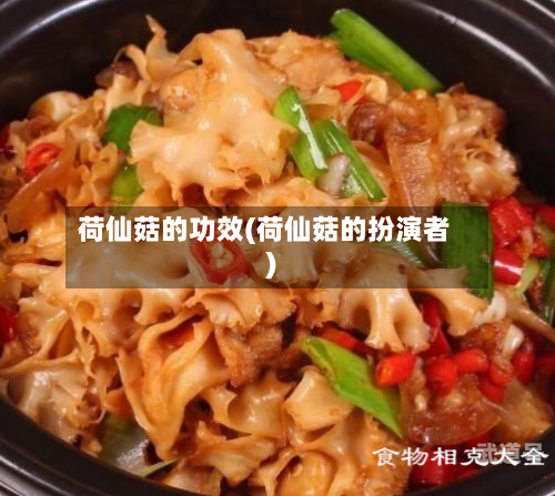 荷仙菇的功效(荷仙菇的扮演者)
