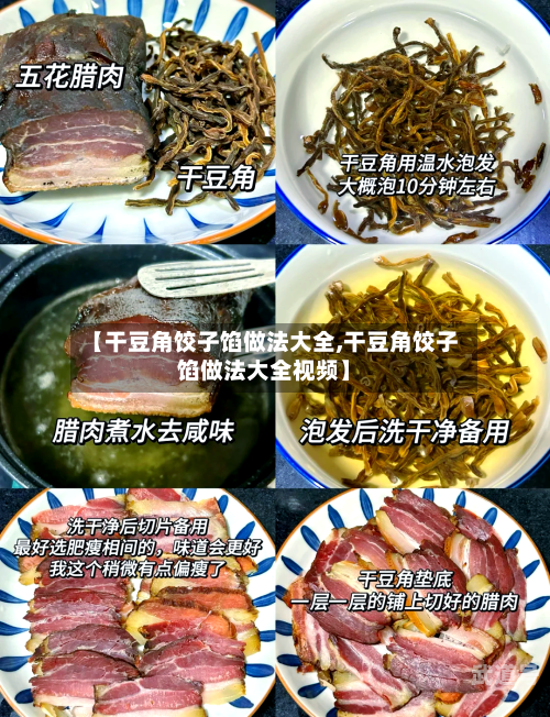【干豆角饺子馅做法大全,干豆角饺子馅做法大全视频】