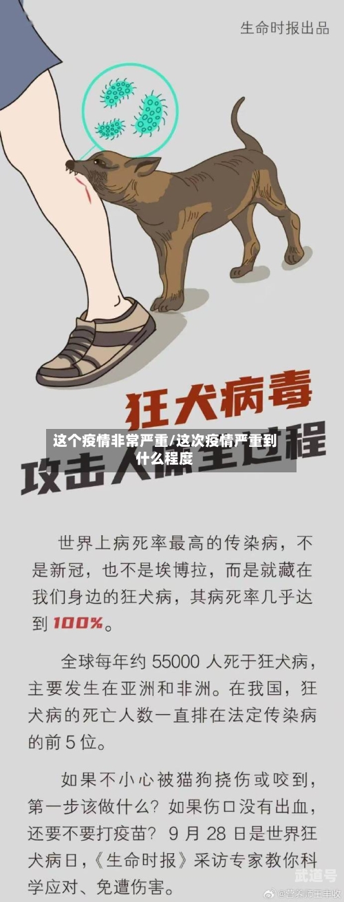 这个疫情非常严重/这次疫情严重到什么程度