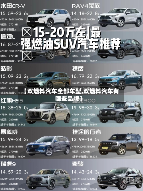 【双燃料汽车全部车型,双燃料汽车有哪些品牌】
