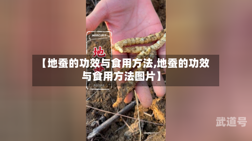 【地蚕的功效与食用方法,地蚕的功效与食用方法图片】