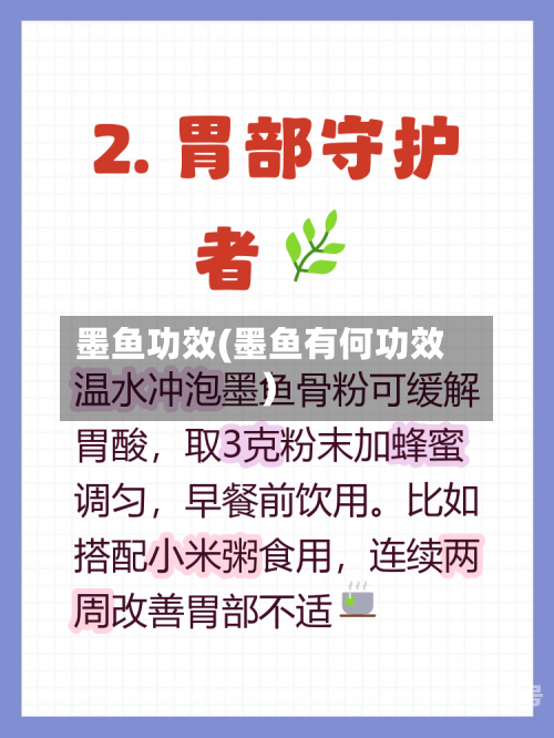 墨鱼功效(墨鱼有何功效)