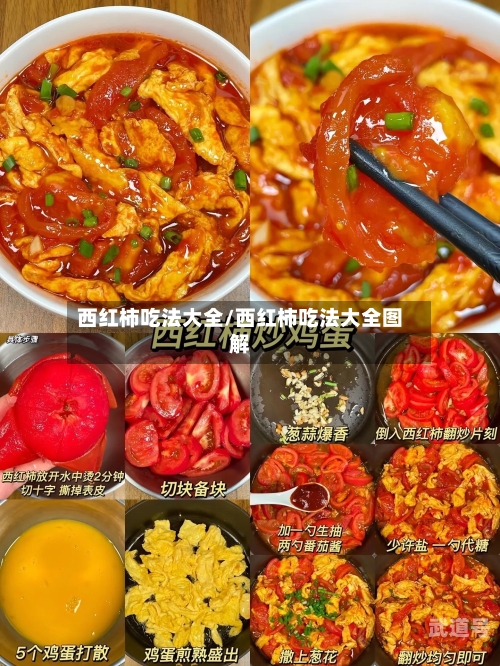 西红柿吃法大全/西红柿吃法大全图解