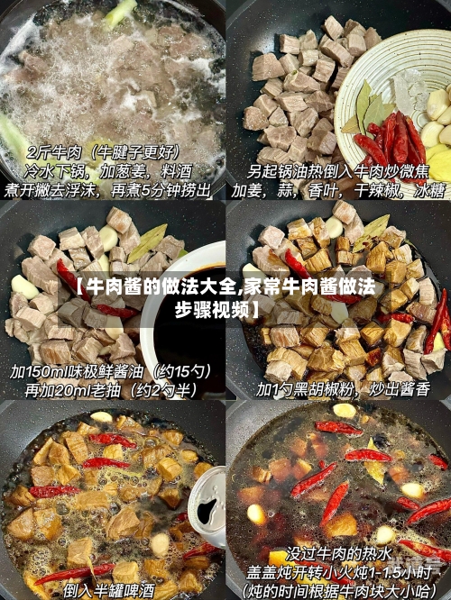 【牛肉酱的做法大全,家常牛肉酱做法步骤视频】