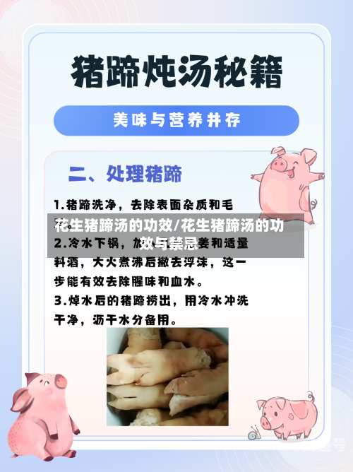 花生猪蹄汤的功效/花生猪蹄汤的功效与禁忌