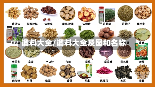 调料大全/调料大全及图和名称
