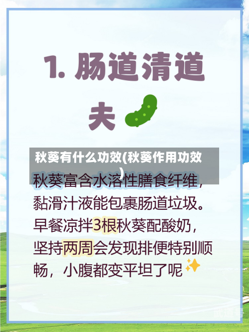 秋葵有什么功效(秋葵作用功效)