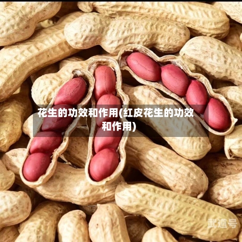 花生的功效和作用(红皮花生的功效和作用)