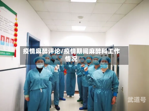 疫情麻醉评论/疫情期间麻醉科工作情况