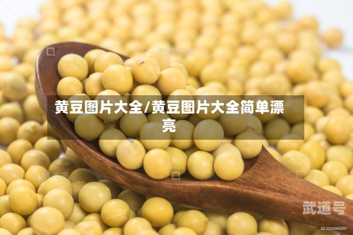 黄豆图片大全/黄豆图片大全简单漂亮