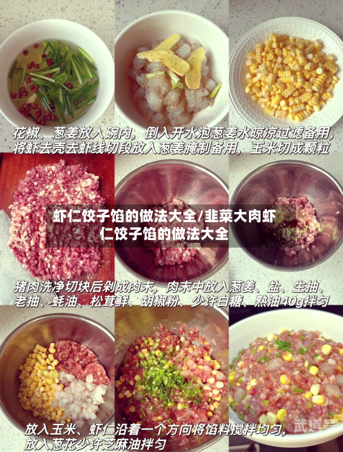 虾仁饺子馅的做法大全/韭菜大肉虾仁饺子馅的做法大全