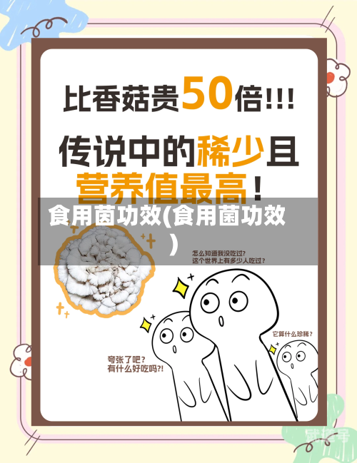 食用茵功效(食用菌功效)