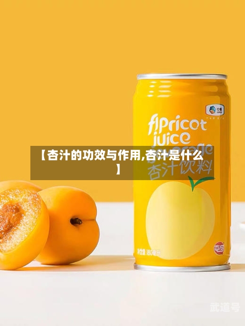【杏汁的功效与作用,杏汁是什么】