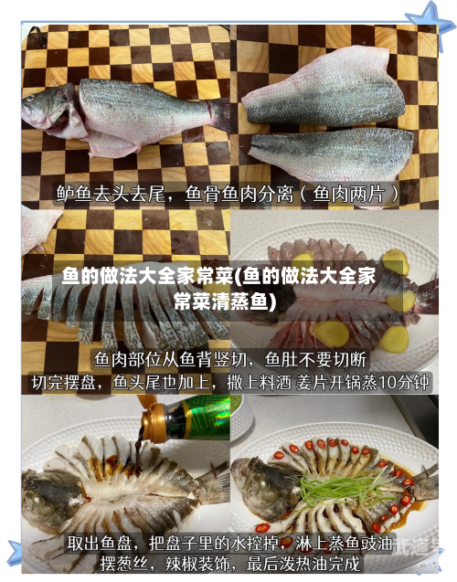 鱼的做法大全家常菜(鱼的做法大全家常菜清蒸鱼)