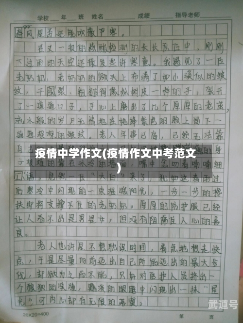 疫情中学作文(疫情作文中考范文)