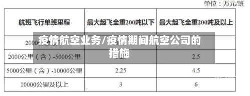 疫情航空业务/疫情期间航空公司的措施