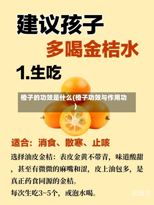 橙子的功效是什么(橙子功效与作用功)