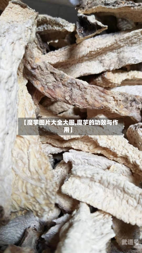 【魔芋图片大全大图,魔芋的功效与作用】
