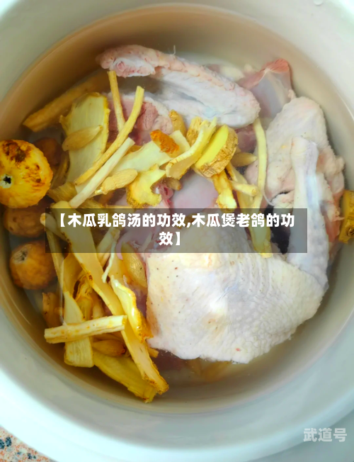 【木瓜乳鸽汤的功效,木瓜煲老鸽的功效】