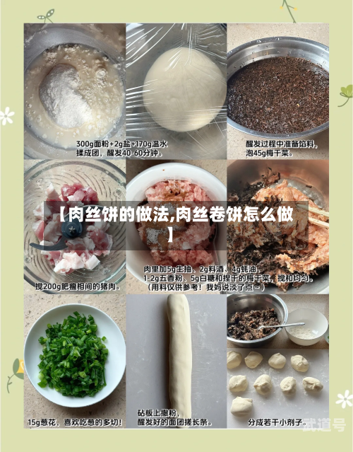 【肉丝饼的做法,肉丝卷饼怎么做】