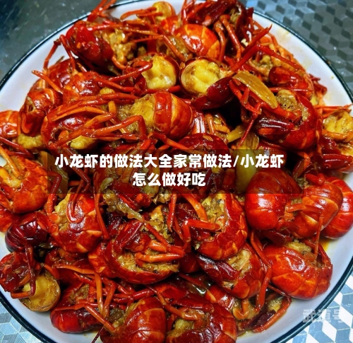 小龙虾的做法大全家常做法/小龙虾怎么做好吃
