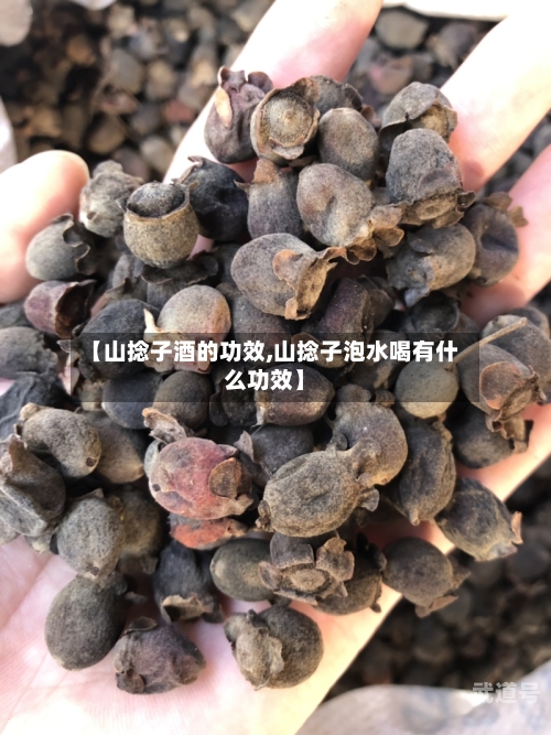 【山捻子酒的功效,山捻子泡水喝有什么功效】