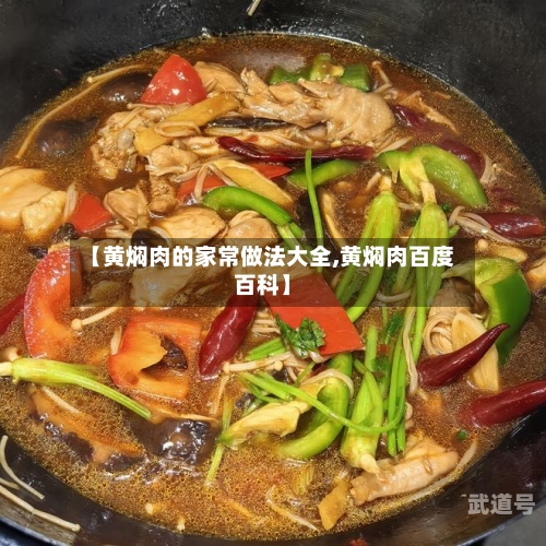【黄焖肉的家常做法大全,黄焖肉百度百科】
