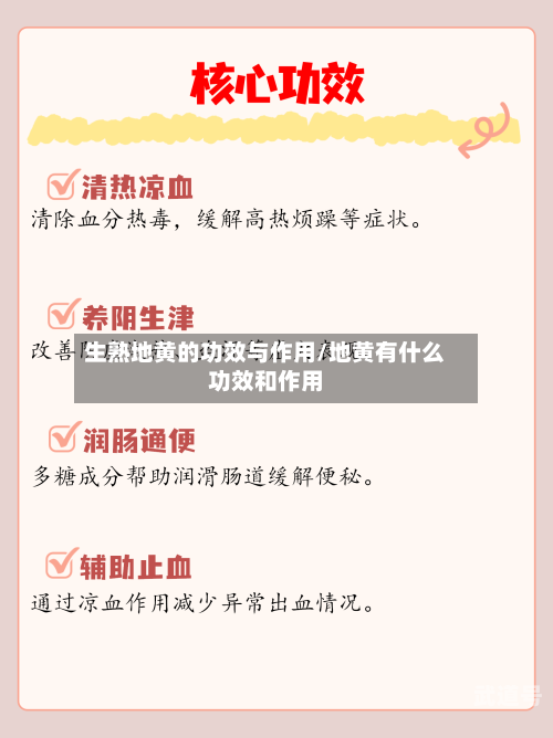 生熟地黄的功效与作用/地黄有什么功效和作用