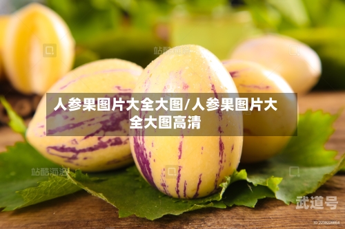 人参果图片大全大图/人参果图片大全大图高清