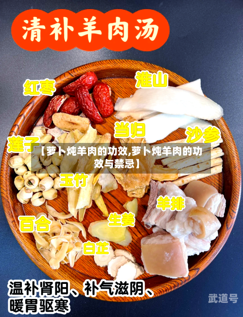 【萝卜炖羊肉的功效,萝卜炖羊肉的功效与禁忌】
