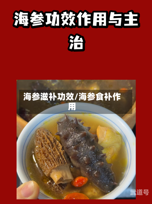 海参滋补功效/海参食补作用