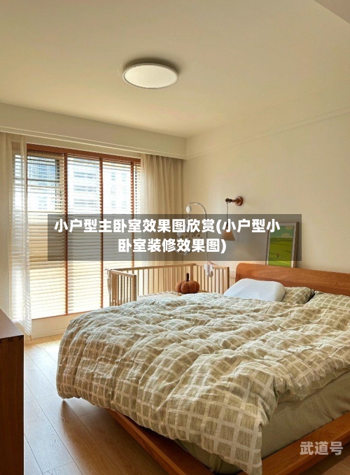 小户型主卧室效果图欣赏(小户型小卧室装修效果图)