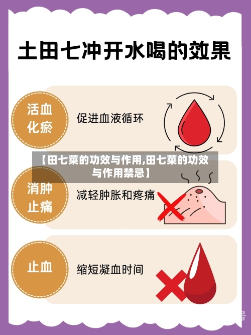 【田七菜的功效与作用,田七菜的功效与作用禁忌】