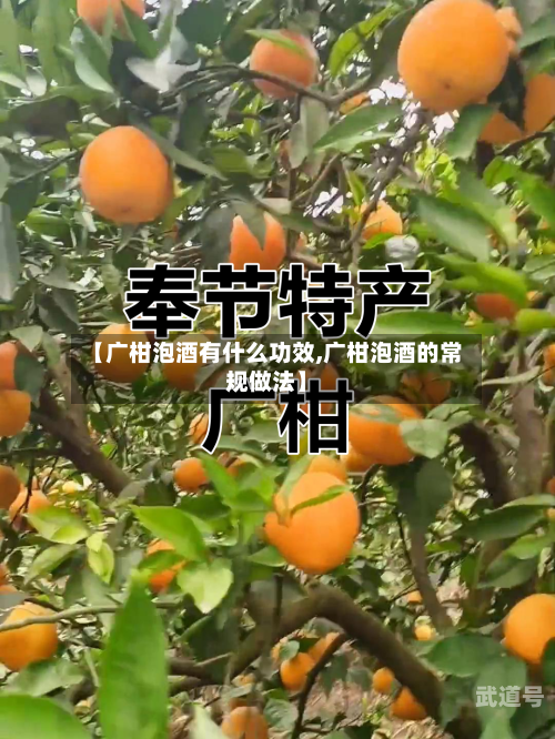 【广柑泡酒有什么功效,广柑泡酒的常规做法】