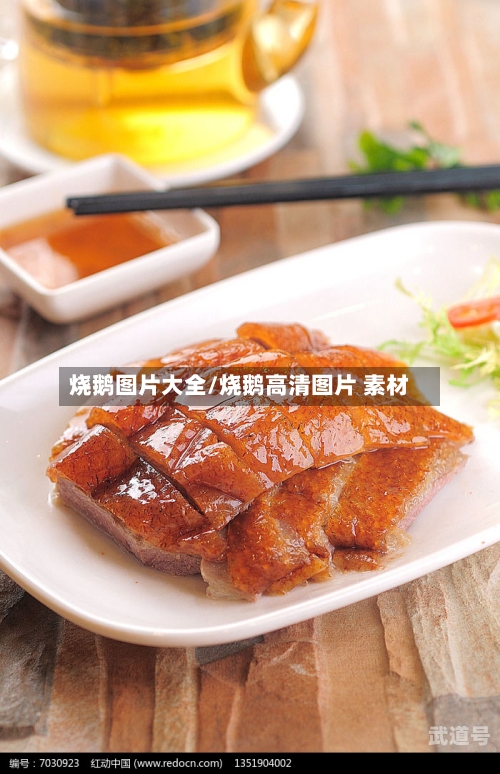 烧鹅图片大全/烧鹅高清图片 素材