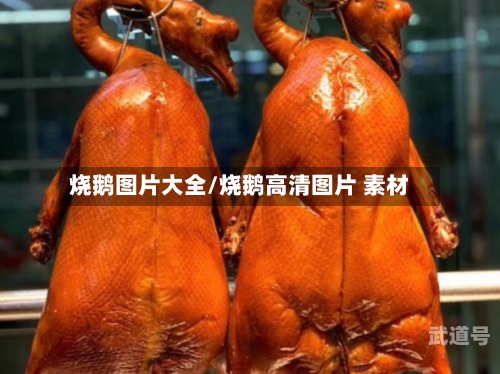 烧鹅图片大全/烧鹅高清图片 素材-第3张图片