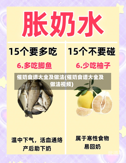催奶食谱大全及做法(催奶食谱大全及做法视频)