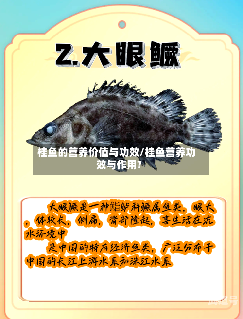 桂鱼的营养价值与功效/桂鱼营养功效与作用?