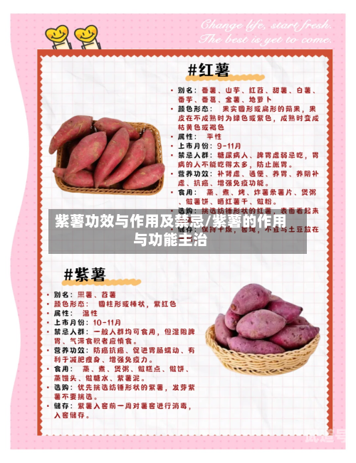 紫薯功效与作用及禁忌/紫薯的作用与功能主治